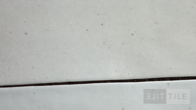 Celine Glazed Porcelain Field Tile 2.5X12 White Matte